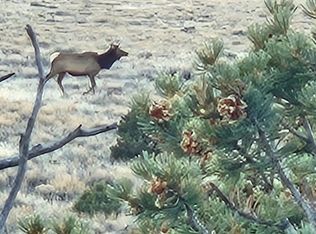 Highway 285, Tres Piedras, NM 87577