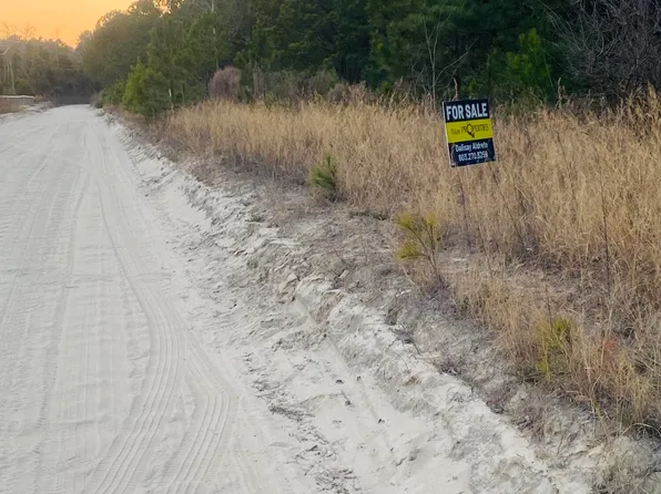 0 Old Shoals Rd Lot 4, Monetta, SC 29105