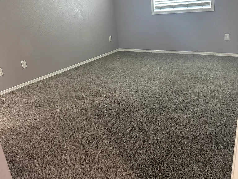 4502 Moline Ln — Photo 12