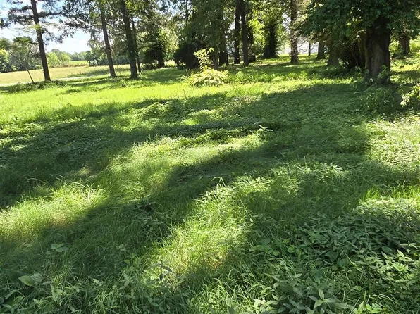 199 Dawes Ln, Benton, KY 42025