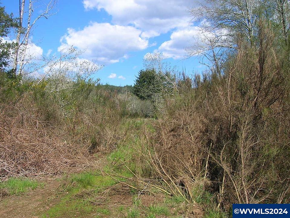 2nd image of 0 Moonshine Park Rd
