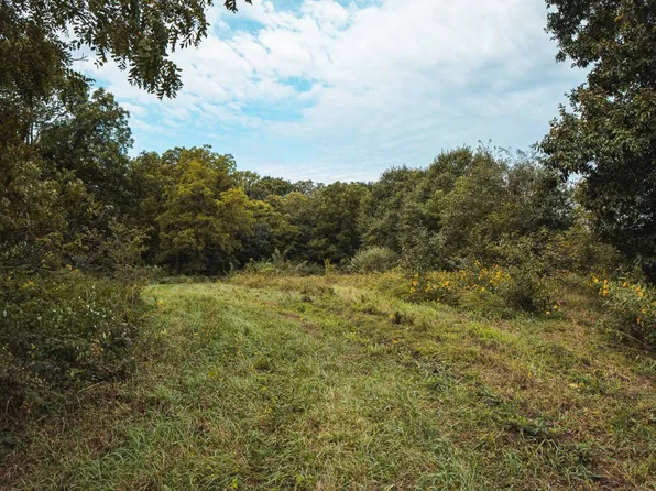 0 NE Cook Rd, Maysville, MO 64469