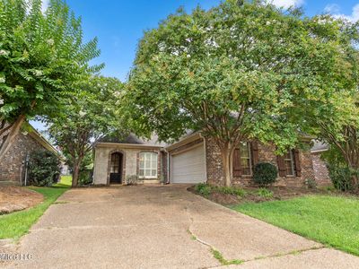 211 Lake Harbour Lndg, Ridgeland, MS, 39157