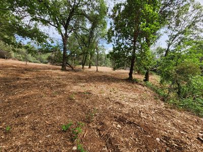 (Undisclosed Address), Greenwood, CA, 95635