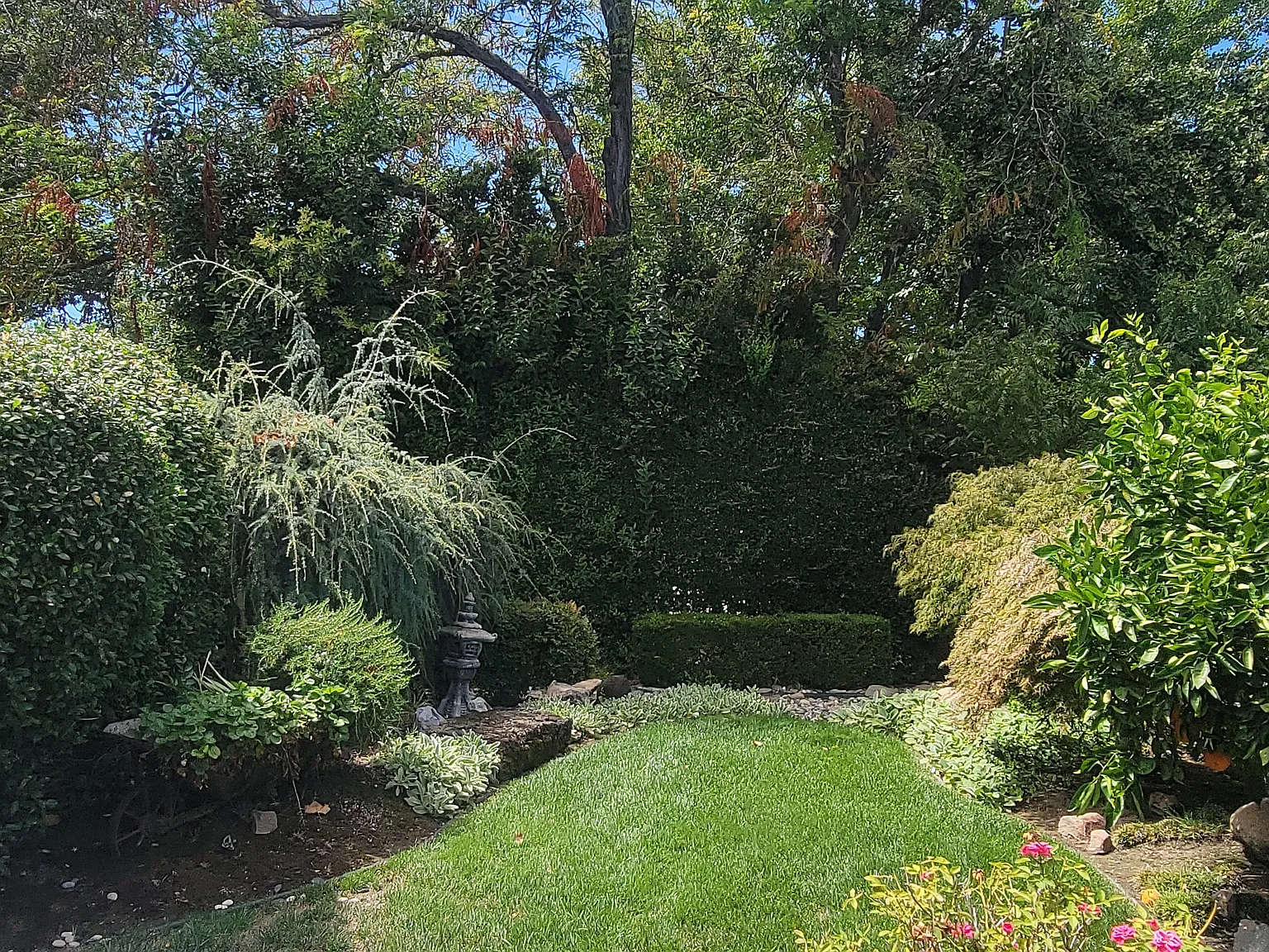 3 bed, 1404 sqft, $4,900 — Photo 2