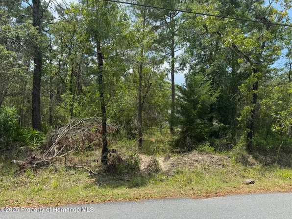 LOT 62 Michigan Ave #62, Brooksville, FL 34613