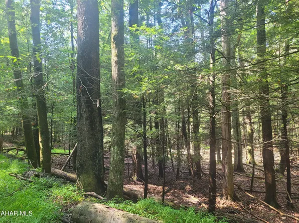 146 Forest Brook Dr, Flinton, PA 16640