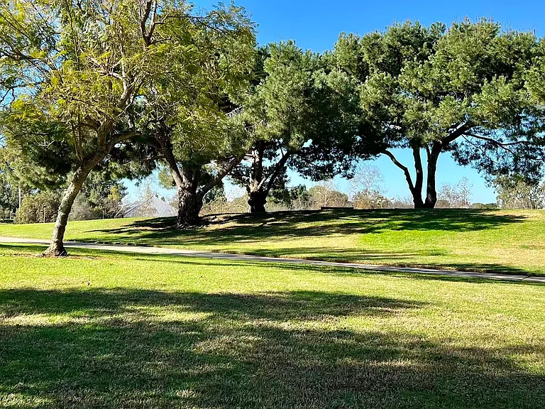 3 Oak Tree Ln — Photo 15