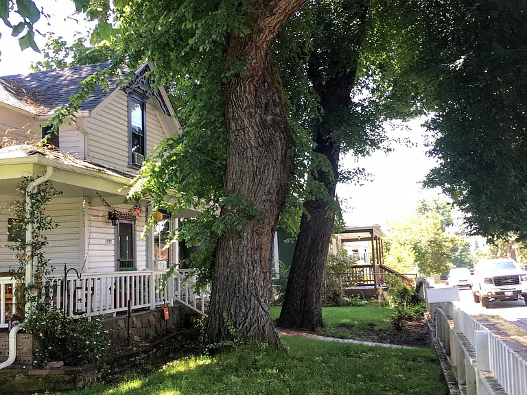 From the north corner, view of the front of the house, before the trees got a haircut :-)