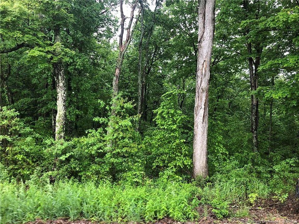 2nd image of E Owl Hollow Rd