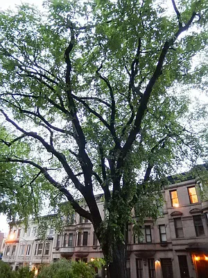 Rented by Bohemia Realty Group | media 20