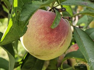 7643 State Highway 16, Moravian Falls, NC 28654