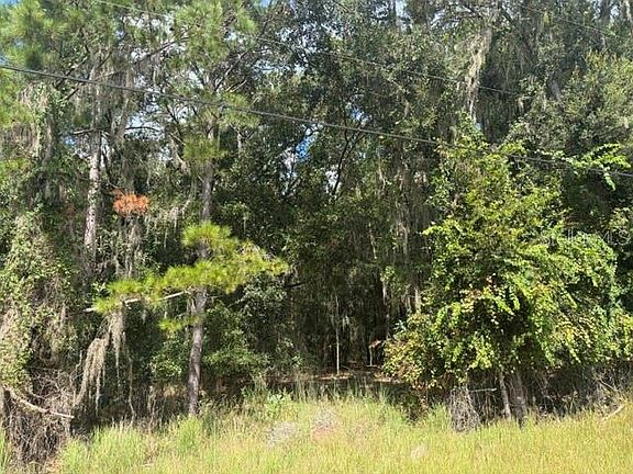3rd image of PINE CABIN ROAD