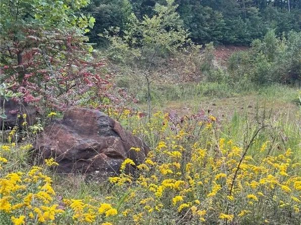 TBD Forest Oak Lane, Jefferson, NC 28640