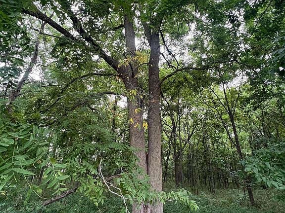 3rd image of 0 M 50