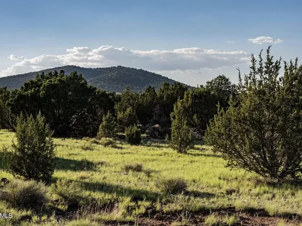 216 E Orchid Drive #558, Williams, AZ 86046