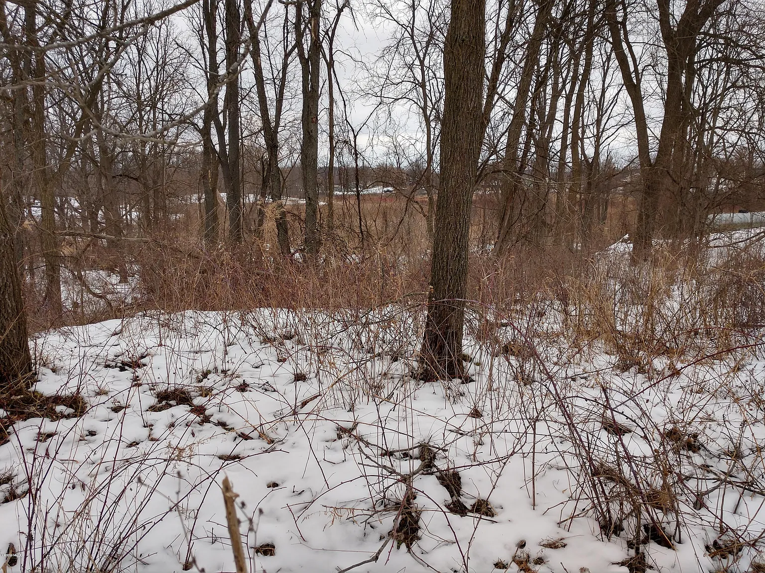 11204 Greenridge Dr photo 1