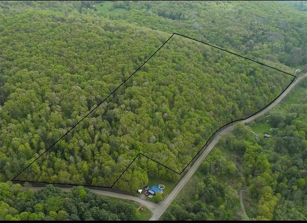 0 Johnson Hollow & Buck Mountain Rd #4 photo 1