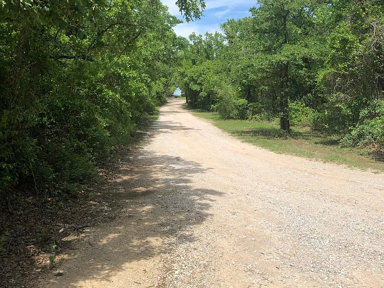 Drive way looking away from the house.