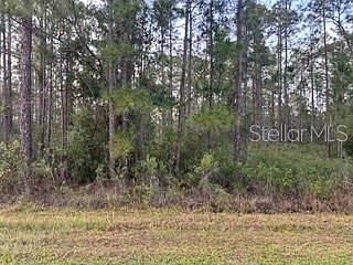 2nd image of 310&312 (BLK368 LOTS 5&6) ALBA DRIVE LOT 5