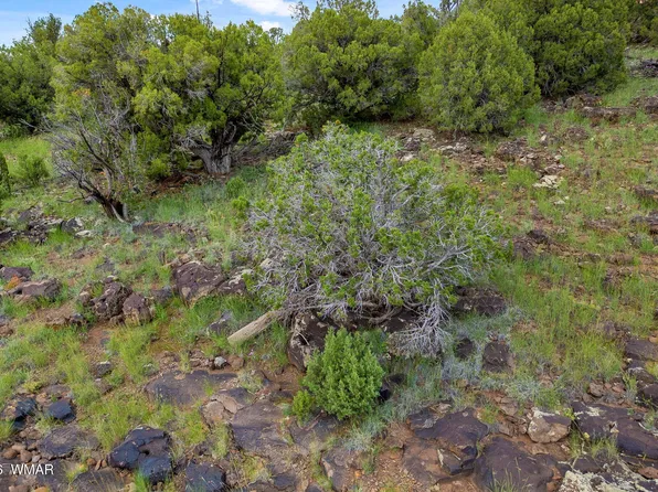 8281 & 8283 Ridge Dr, Show Low, AZ 85901