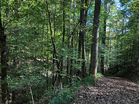 4th image of Off Scary Creek Road Rte #22