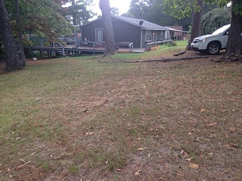 Large yard!