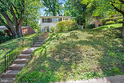 121 Whitmoor Ter Photo 1