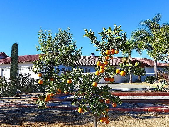 5th image of 39435 Parado Del Sol Dr