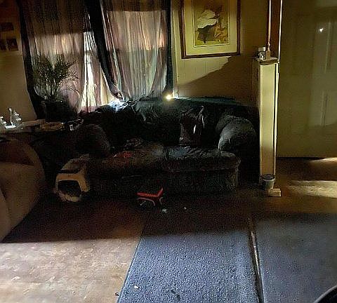 5th image of 524 N Poplar St