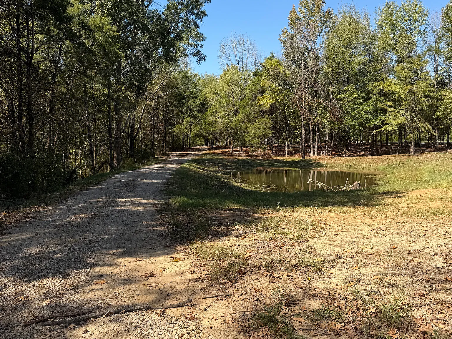 5 bed, 2600 sqft, $6,500 — Photo 2