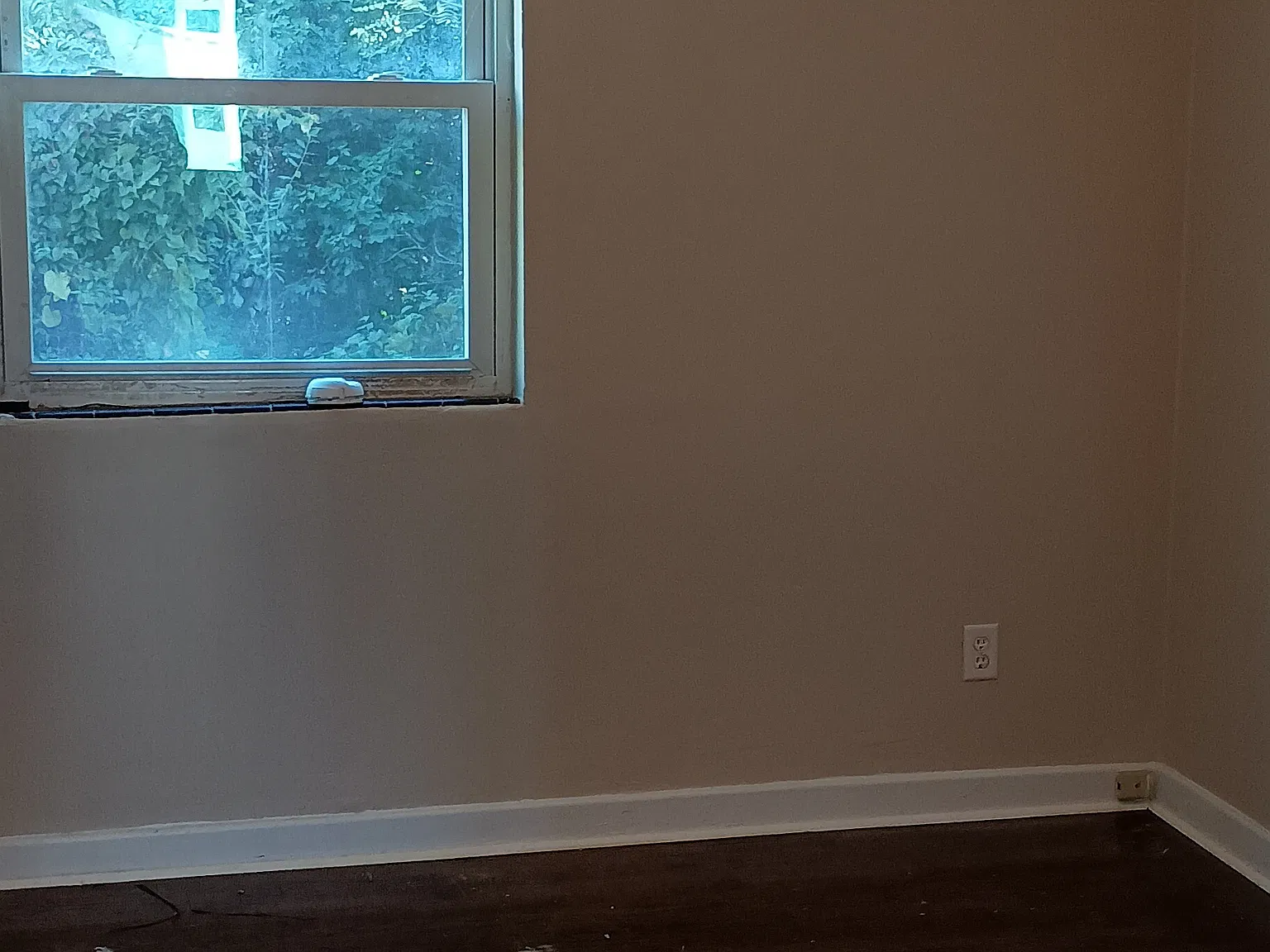 2 bed, 800 sqft, $1,450 — Photo 1