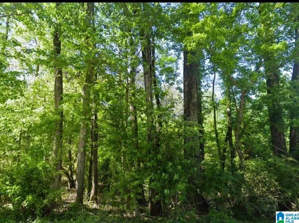 0 Glovers Ferry Rd #1, Talladega, AL 35160