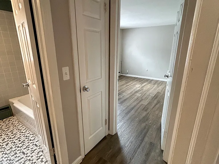 Hallway Closet & entrance to bathroom and 2nd Bedroom.