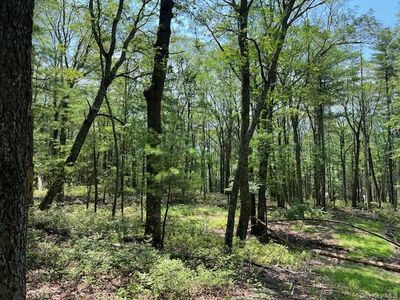 Lot 7 Sunflower Drive, Glen Spey, NY, 12737