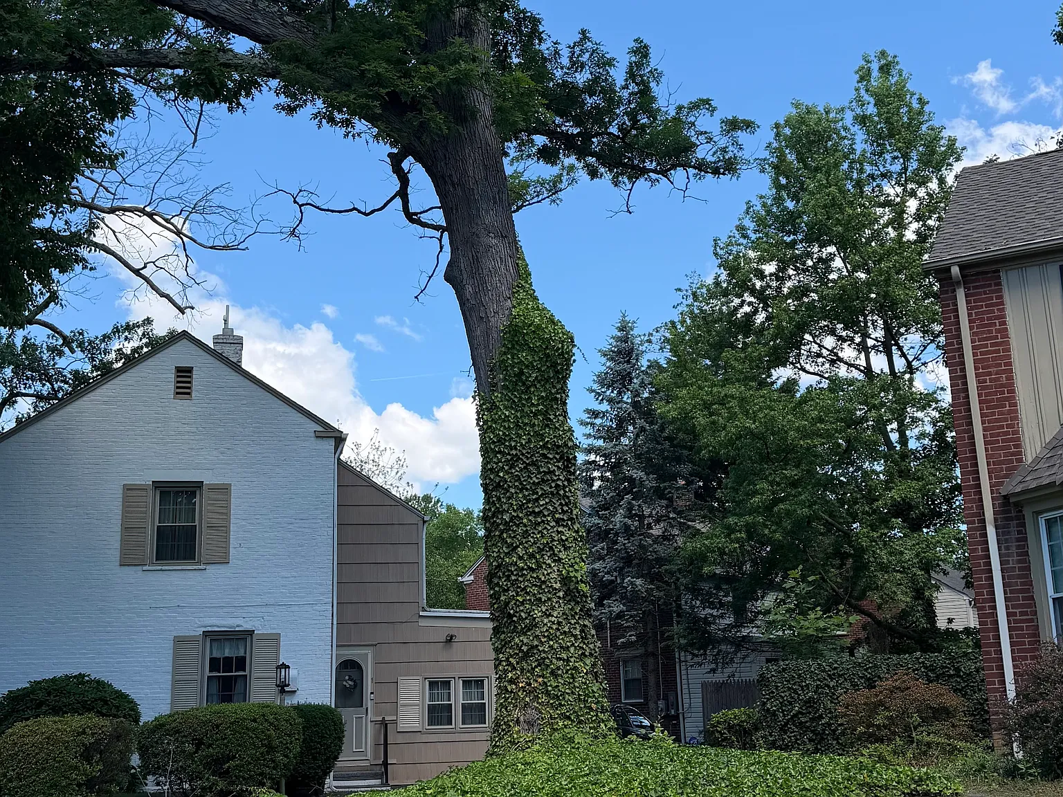 1 bed, 1675 sqft, $700 — Photo 1