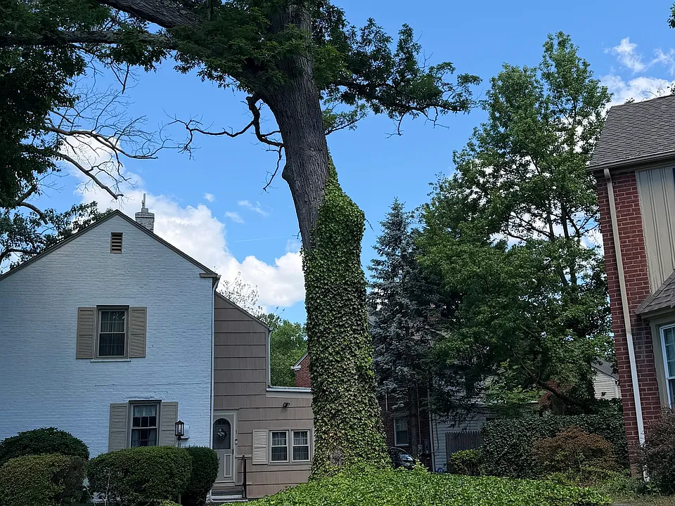 3 Peirce Rd