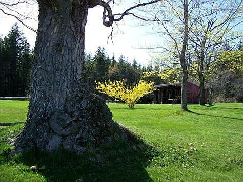 Pierce Homestead - Windsor 4