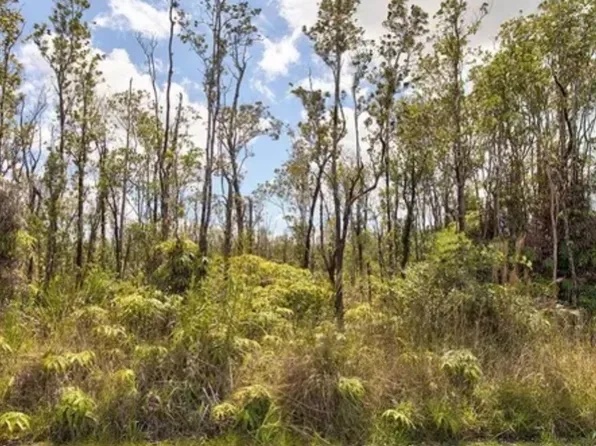 15-930 Punawai St Lot 7, Pahoa, HI 96778