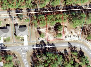 7157 N Glenridge Cir, Citrus Springs, FL 34434