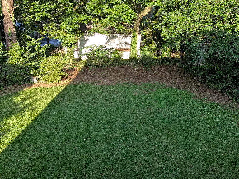 Back yard