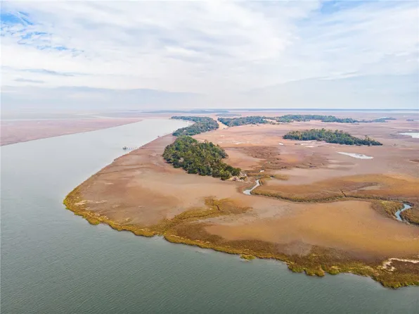 0 Barbour Is, Townsend, GA 31331