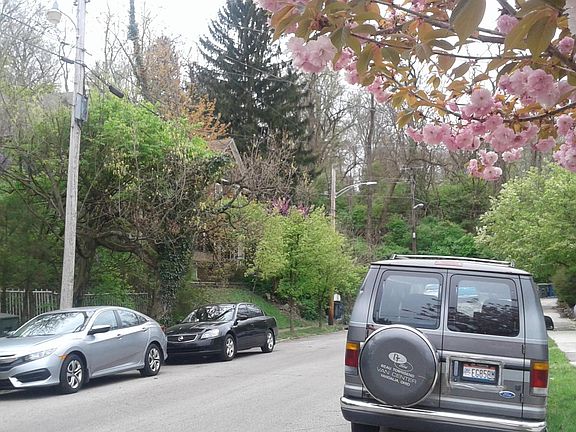 4th image of 20 Greenwood Ave