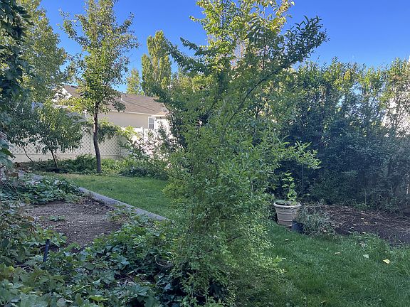 More pictures of the private Backyard