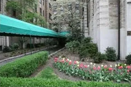 1 bed, 800 sqft, $1,495 — Photo 4