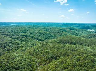 Highway W, Pineville, MO 64856