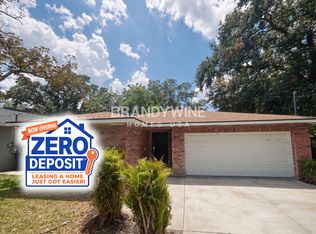 8810 N Orangeview Ave, Tampa, FL 33617
