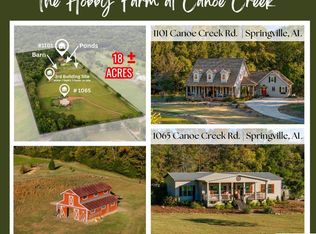1101 Canoe Creek Rd, Springville, AL 35146