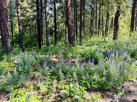 2nd image of 11 Highland Meadows