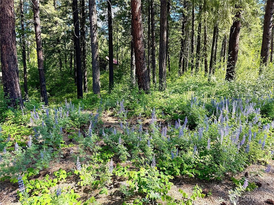 1st image of 11 Highland Meadows